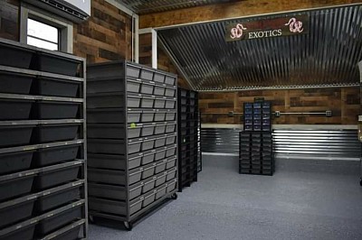New snake room