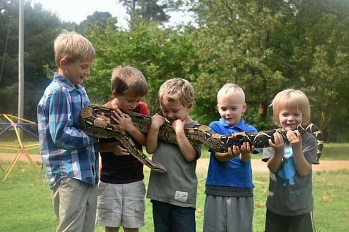 Our 5 boys with Jazmine, our red tail I got in 2008